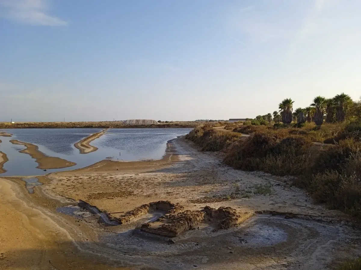 Paesaggio delle saline
