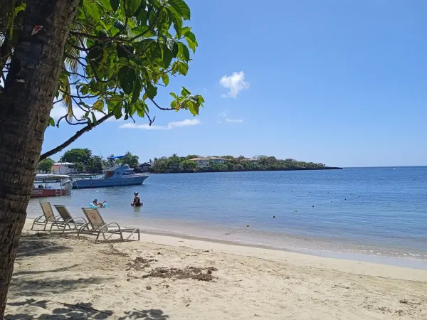 Roatán: l’isola del diving 🇭🇳