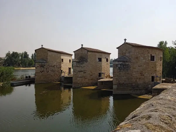 Zamora: corsa tra i mulini ad acqua sul Duero