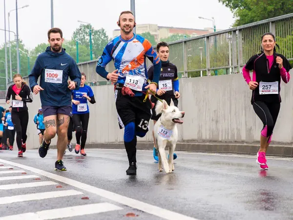 Migliori maratone a gennaio