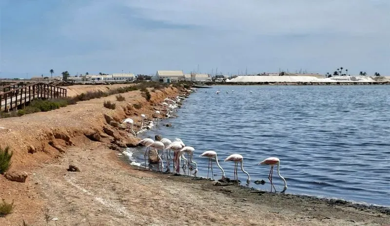 Sensorial running nel labirinto delle saline dell’Algarve