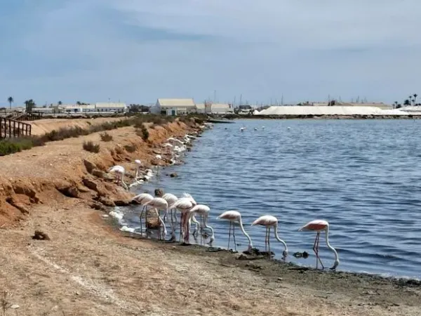Sensorial running nel labirinto delle saline dell’Algarve