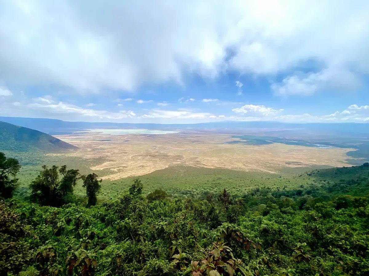 Il cratere del Ngorongoro visto dall'alto