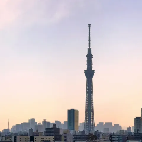 Lo skyline di Tokyo con il Tokyo Skytree al tramonto